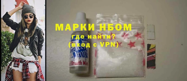 крисы Абаза