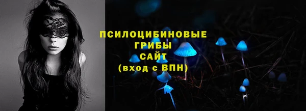 2c-b Алзамай
