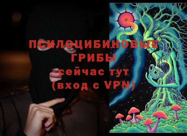 прущие грибы Алексин