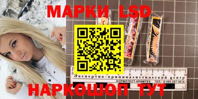 стаф Аргун