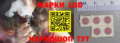 стаф Аргун