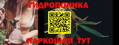 стаф Аргун