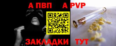 стаф Аргун