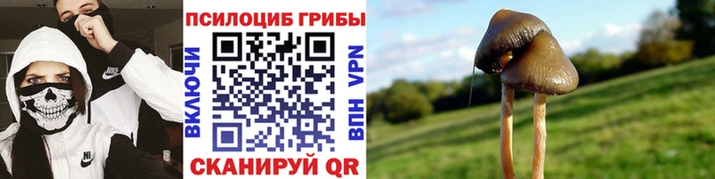 даркнет сайт  Воткинск  МЕГА ССЫЛКА  Галлюциногенные грибы MAGIC MUSHROOMS 