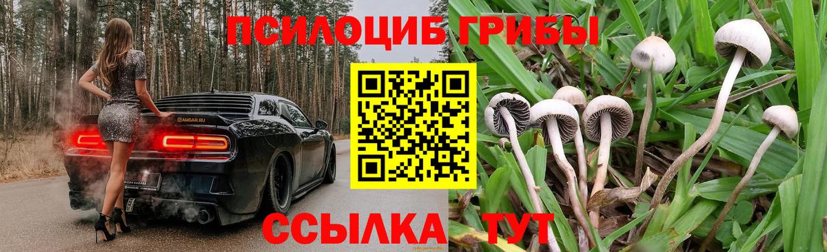 Воткинск  Псилоцибиновые грибы Psilocybe  Вход с VPN 