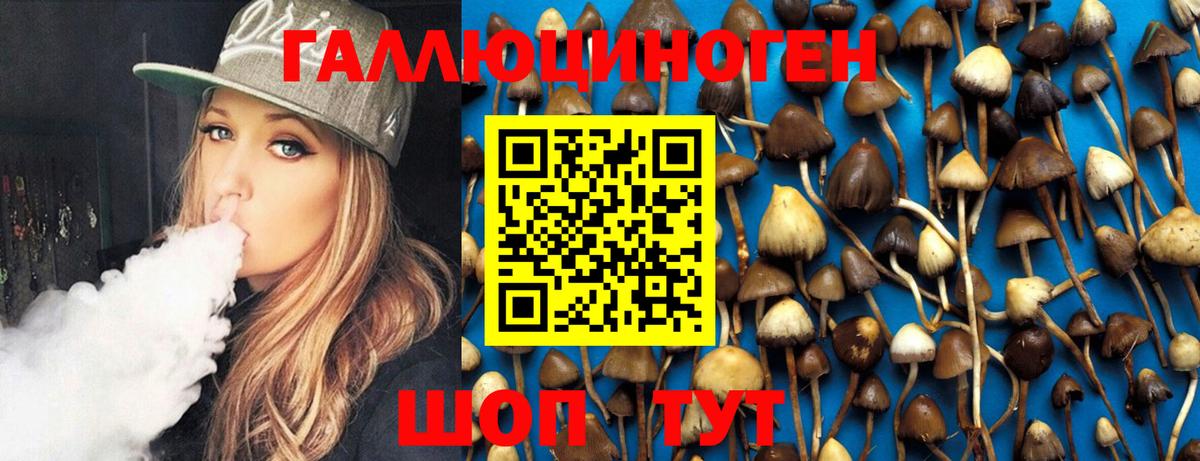 Псилоцибиновые грибы GOLDEN TEACHER Воткинск